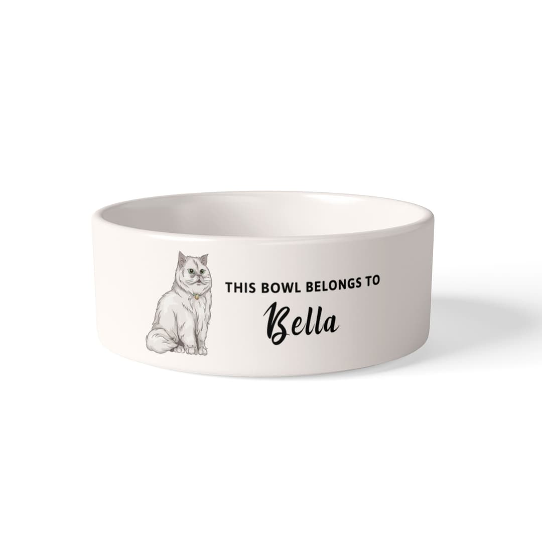 Pet Bowl