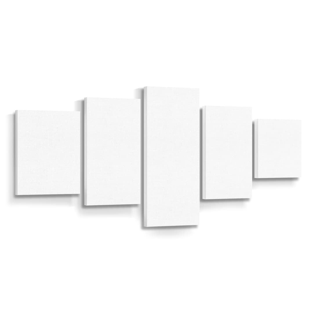 5 Panel Matte Canvas (Mixed 12)