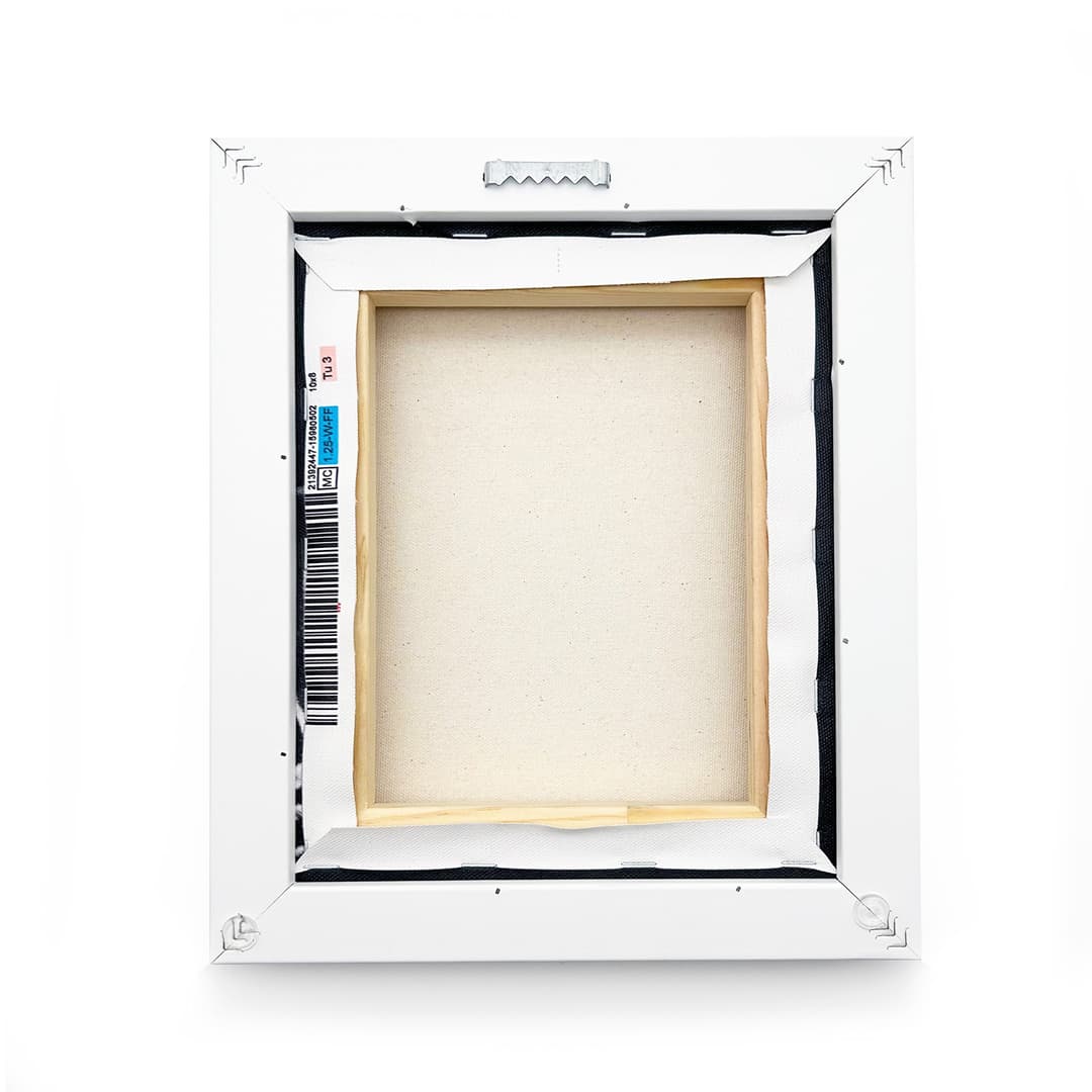 Framed Matte Canvas