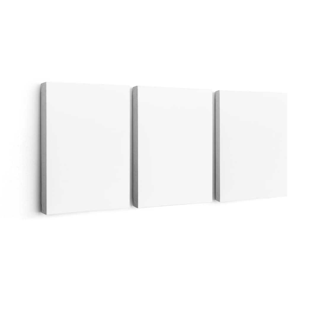 3 Panel Matte Canvas (12x18)